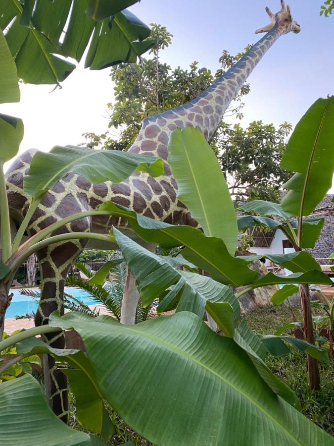 Baobab Africa Lodge Zanzibar Mtende Extérieur photo